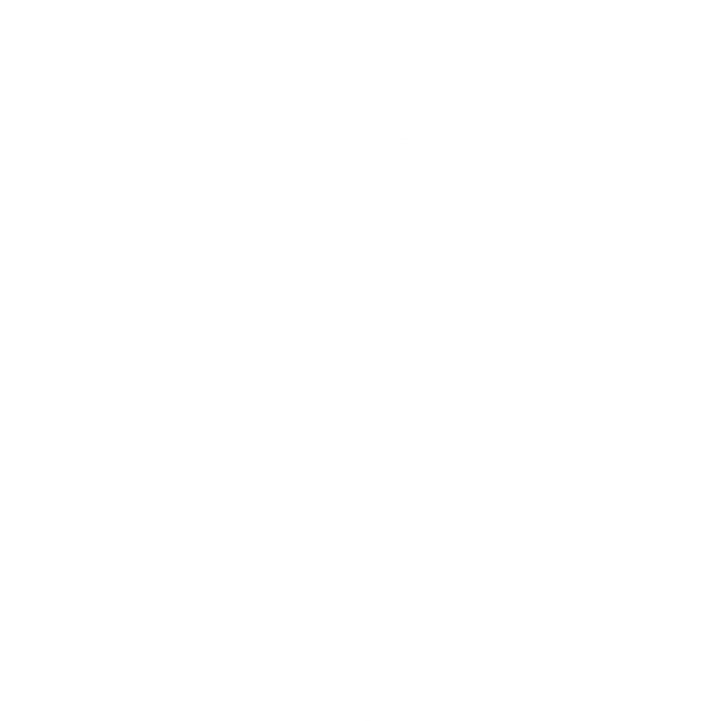 Hvidt logo Jysk Børneforsorg